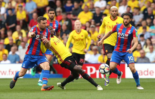 他的选择透 他的选择透